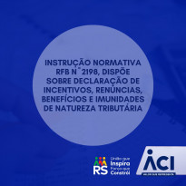 Instrução Normativa RFB nº 2198, de 17 de junho de 2024, dispõe sobre Declaração de Incentivos, Renúncias, Benefícios e Imunidades de Natureza Tributária
